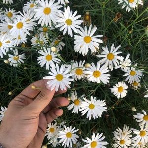 Meet your Posher, Chuck